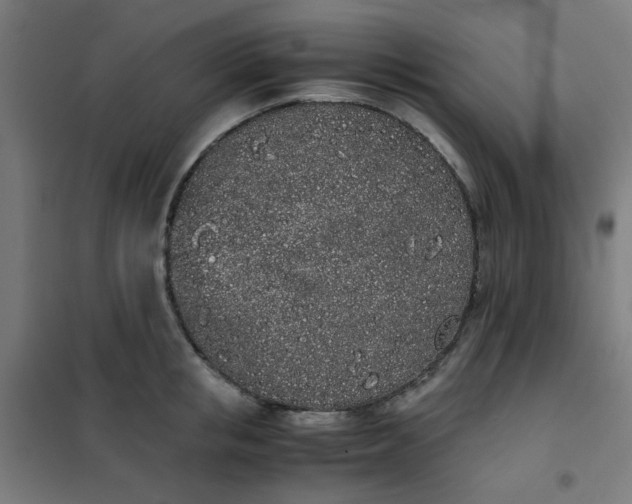 X0000101680853200807241344