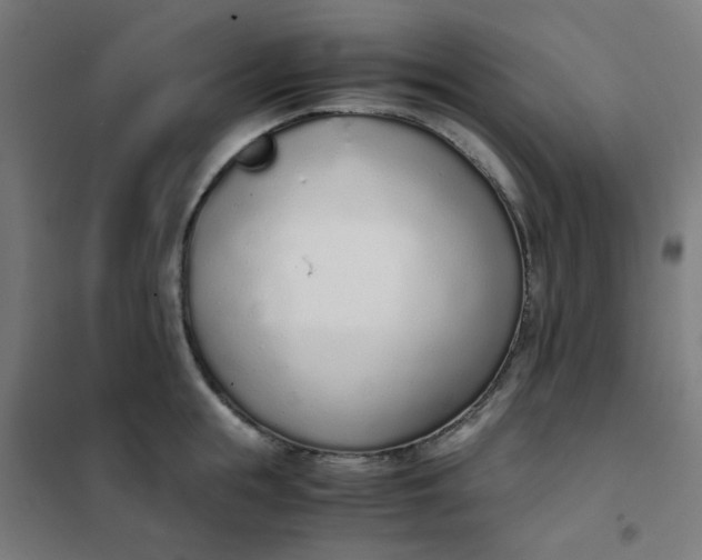 X0000101680855200807241344