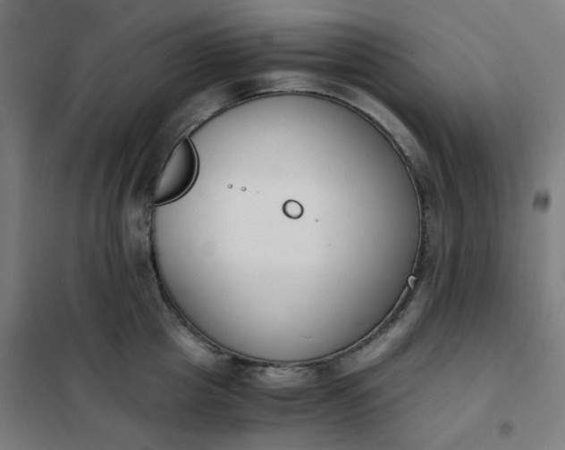 X0000101680857200807241344