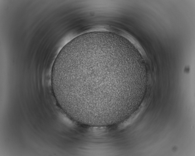 X0000101680858200807241344