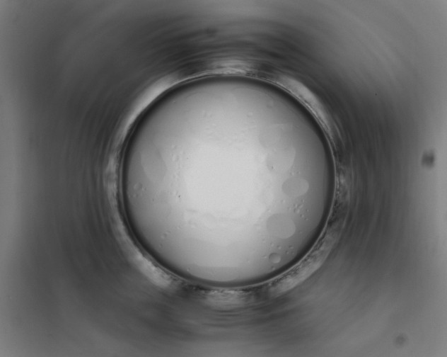 X0000101680859200807241344