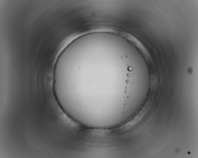 X0000101680860200807241344