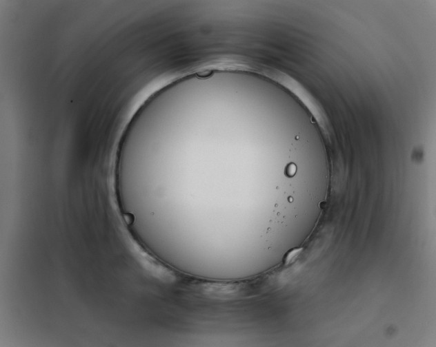 X0000101680861200807241344