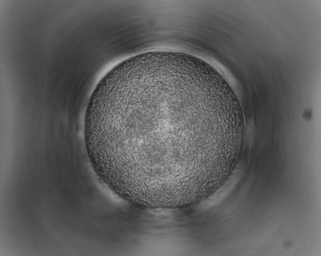 X0000101680862200807241344