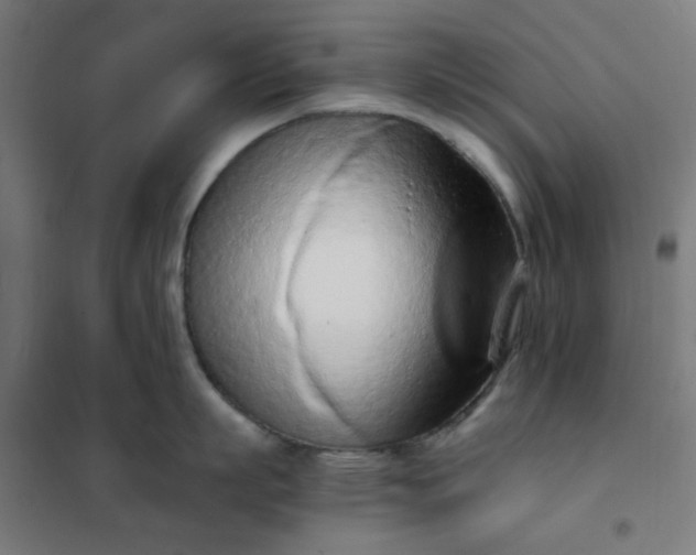 X0000101680863200807241344