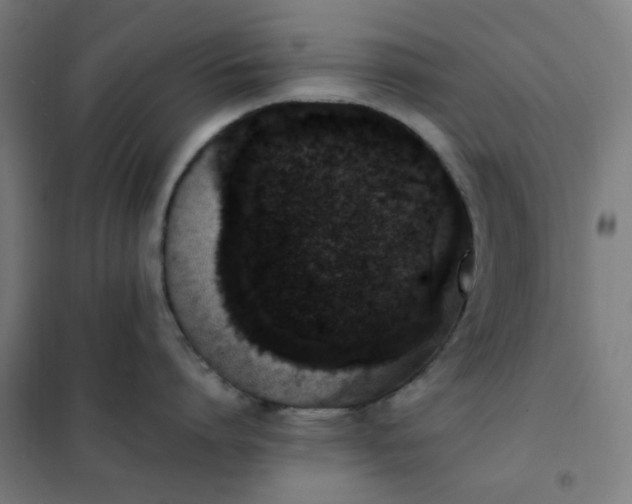 X0000101680864200807241344