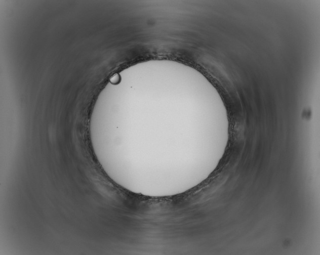 X0000101680865200807241343