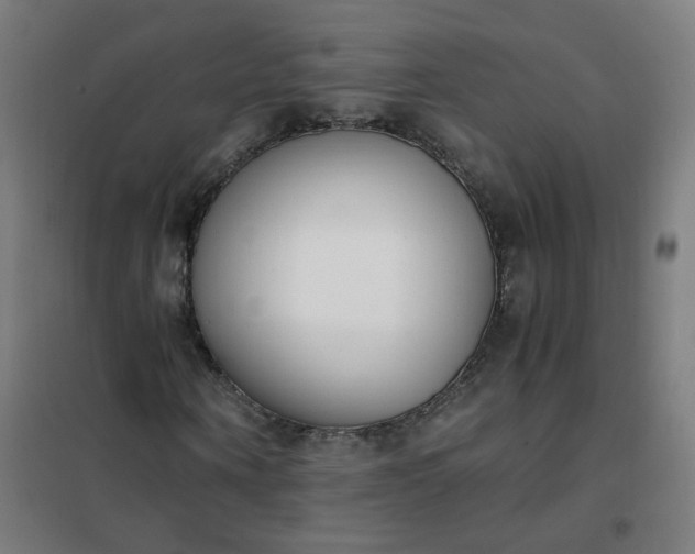 X0000101680866200807241343