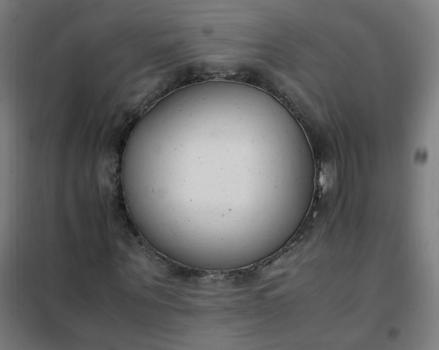 X0000101680867200807241343