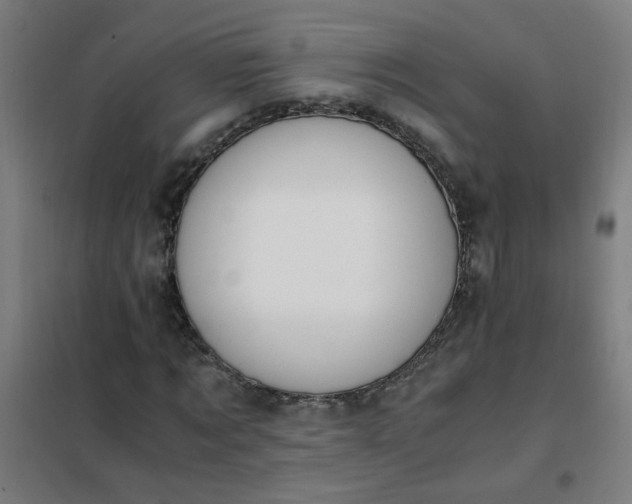 X0000101680869200807241343