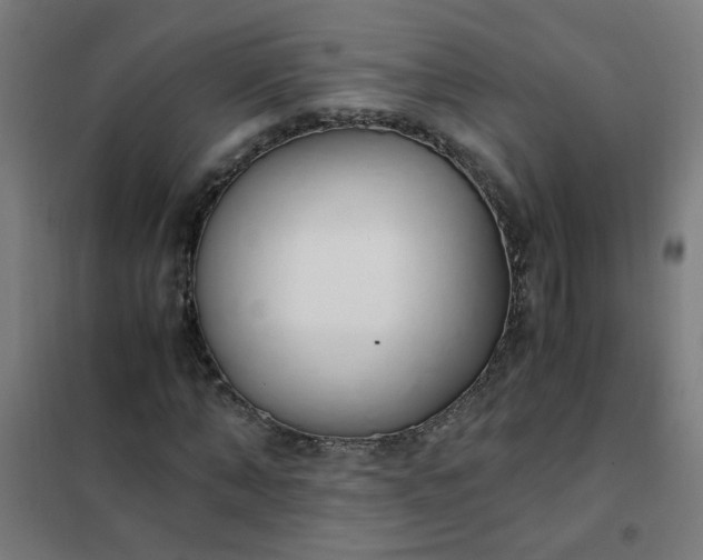 X0000101680870200807241343