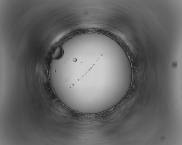 X0000101680871200807241343