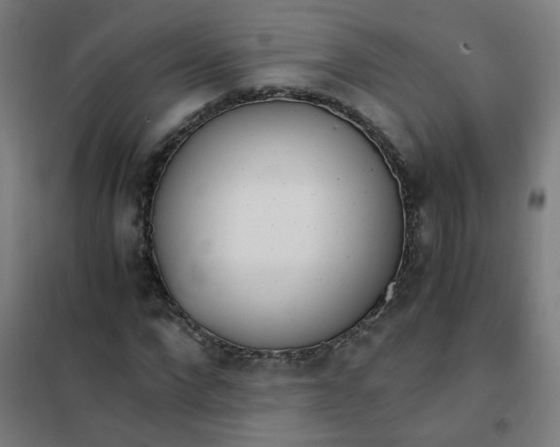 X0000101680872200807241343