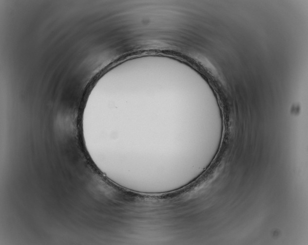 X0000101680873200807241343