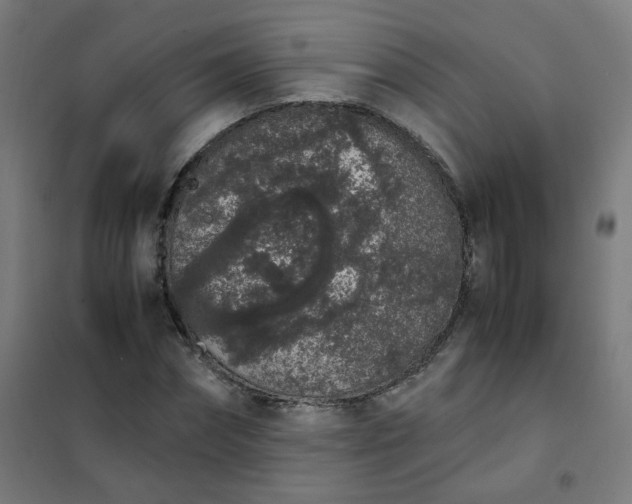 X0000101680874200807241343