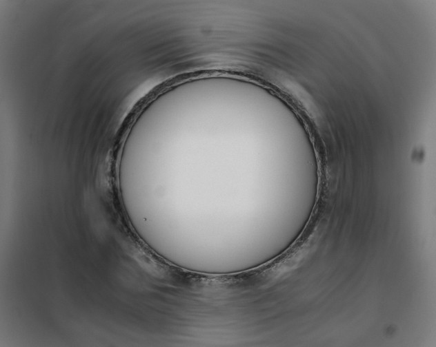 X0000101680875200807241343