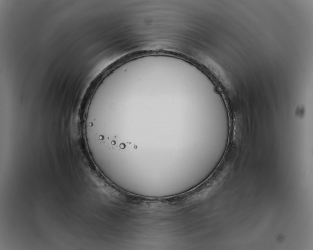 X0000101680876200807241343