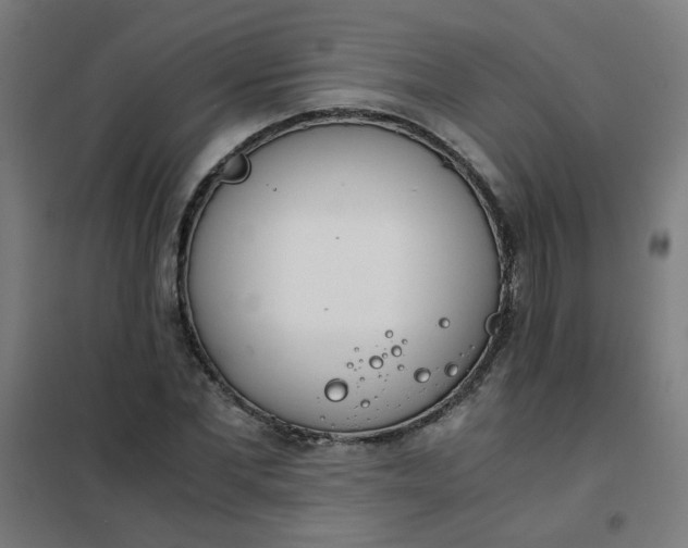 X0000101680877200807241343