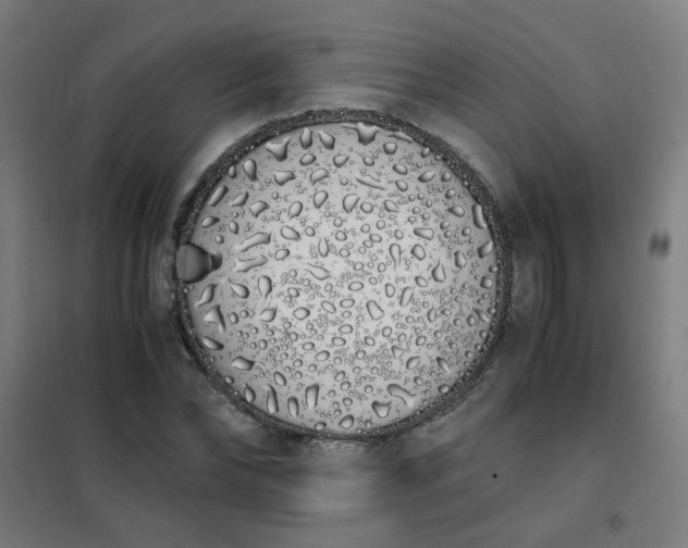 X0000101680878200807241343