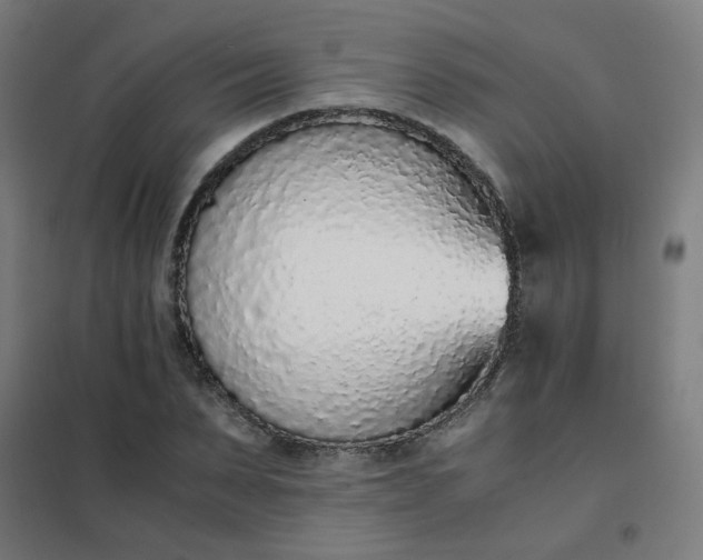 X0000101680879200807241343