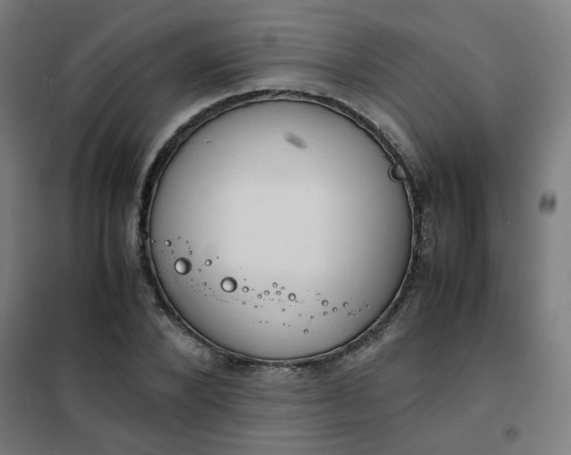 X0000101680880200807241343