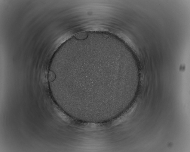 X0000101680881200807241343