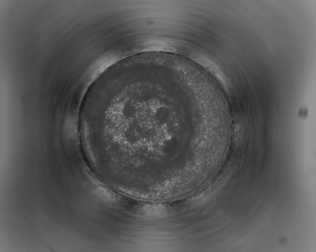 X0000101680882200807241343