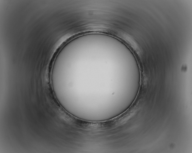 X0000101680883200807241343