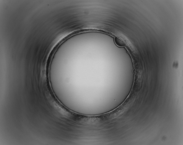 X0000101680884200807241343