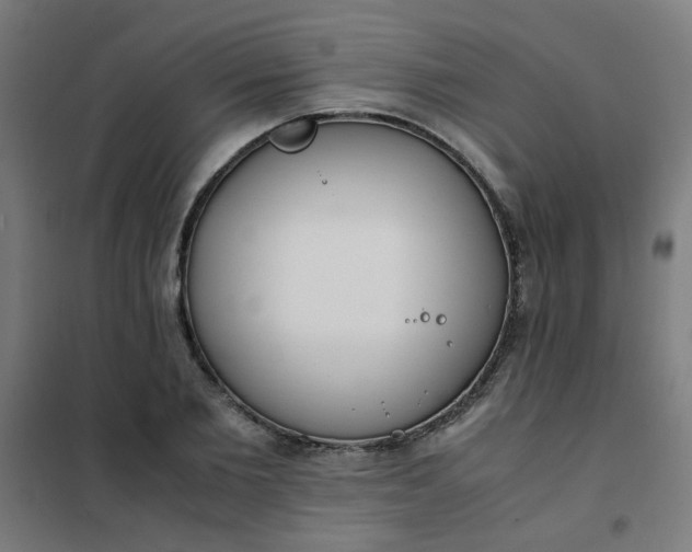 X0000101680885200807241343