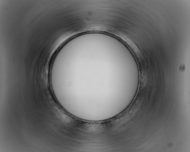 X0000101680886200807241343