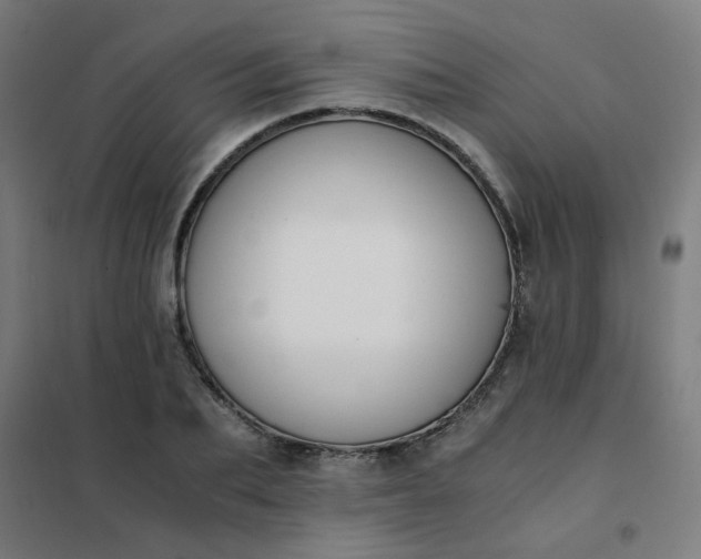 X0000101680887200807241343