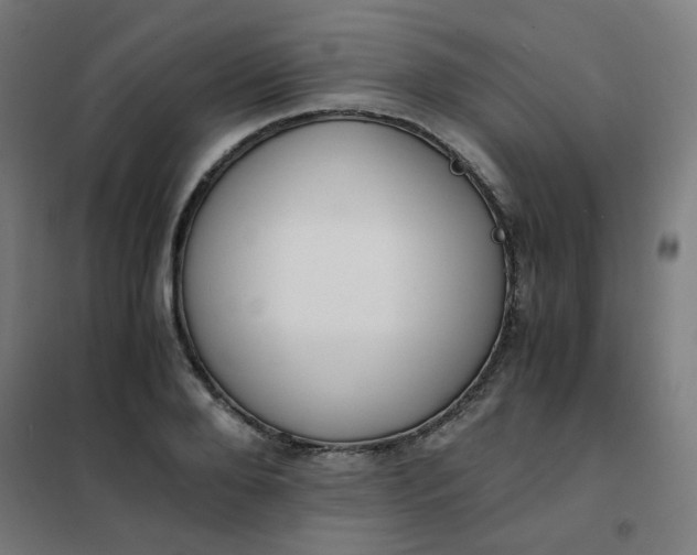 X0000101680888200807241343