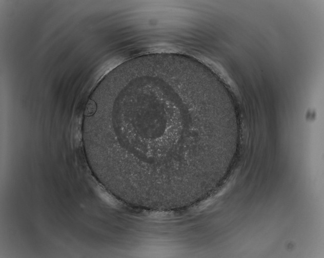 X0000101680889200807241343