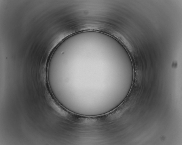 X0000101680890200807241343