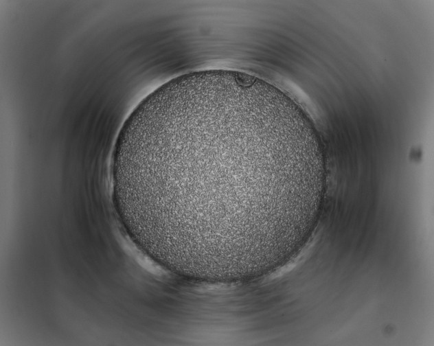 X0000101680892200807241343