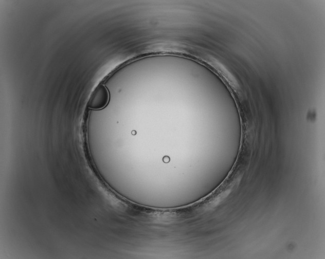 X0000101680893200807241343