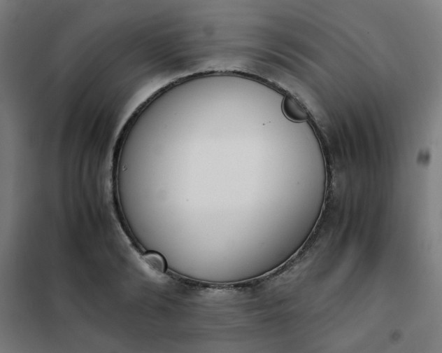 X0000101680894200807241342