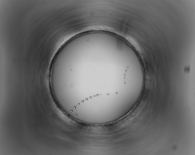 X0000101680895200807241342