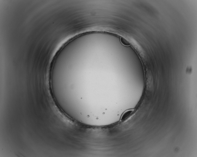 X0000101680896200807241342