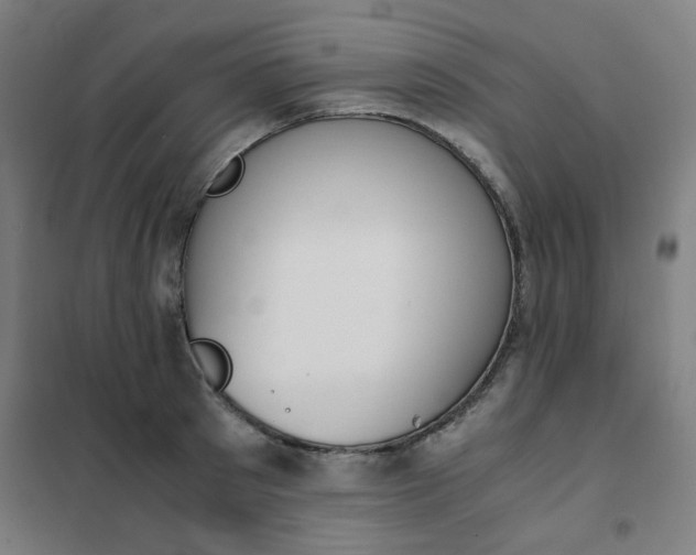 X0000101680897200807241342