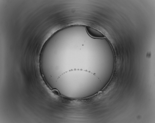 X0000101680898200807241342