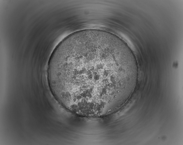 X0000101680899200807241342