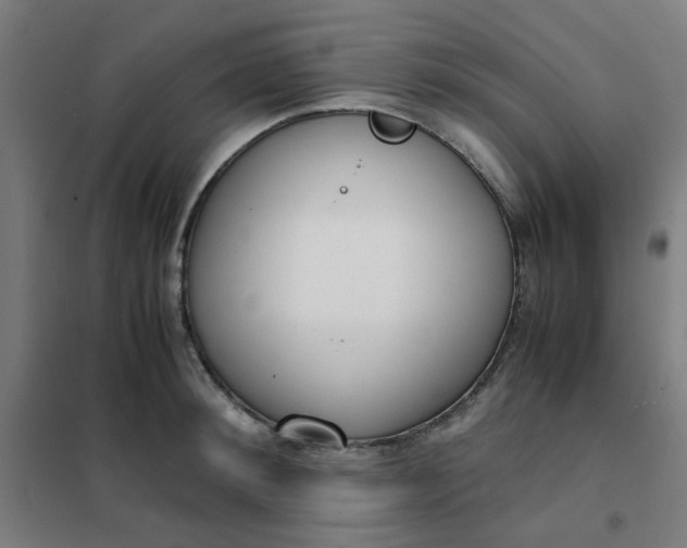 X0000101680900200807241342