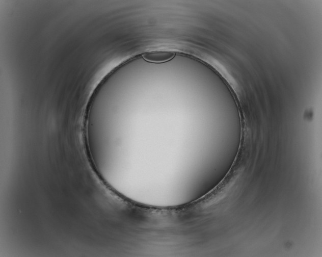 X0000101680901200807241342