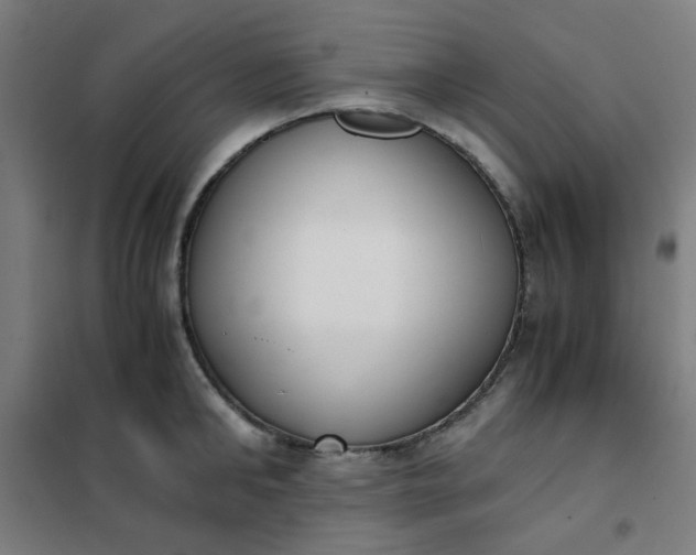 X0000101680902200807241342