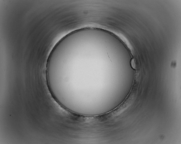 X0000101680903200807241342