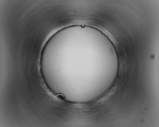 X0000101680904200807241342