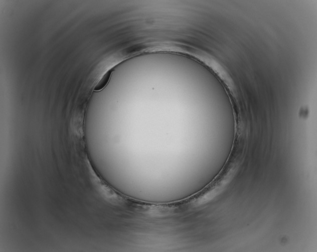 X0000101680905200807241342