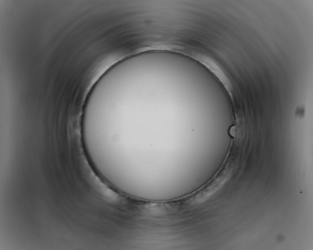 X0000101680906200807241342